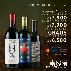 Promocion – 12 Botellas de Vino Selecto